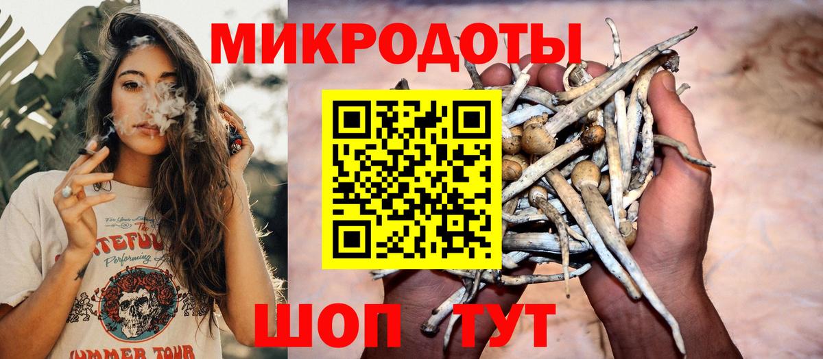 Псилоцибиновые грибы Psilocybe  Псилоцибиновые грибы прущие грибы  продажа наркотиков  Вход с VPN  Жигулёвск 