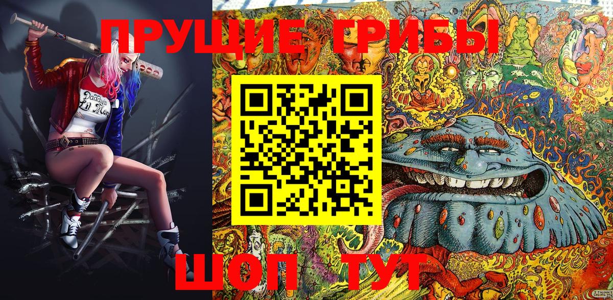 Псилоцибиновые грибы Psilocybe  Жигулёвск 