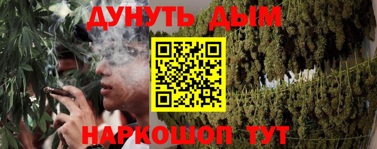 Шишки марихуана план  Каннабис конопля  Шишки марихуана AK-47  Марихуана SATIVA & INDICA  Жигулёвск 